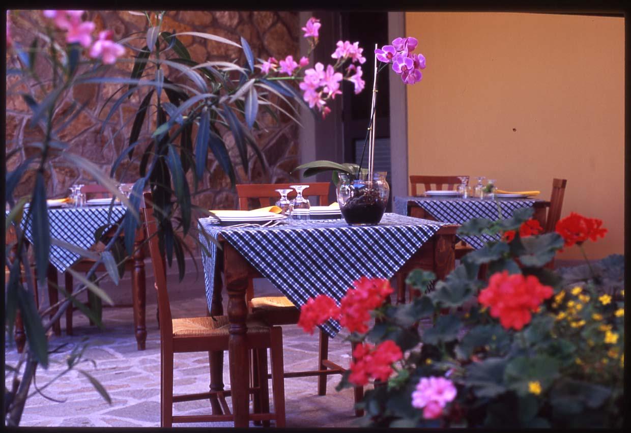Hotel Cesi & 4*
